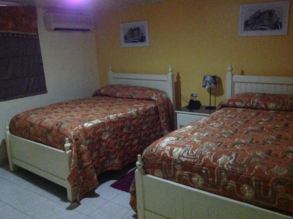 Hotel Frano Romana Center ラ・ロマーナ 部屋 写真